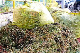 Garden Waste removal Kilmacolm